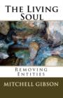 Image for The Living Soul : Removing Entities