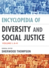 Image for Encyclopedia of diversity and social justice