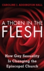Image for A thorn in the flesh: how gay sexuality is changing the Episcopal Church