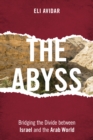Image for The abyss  : bridging the divide between Israel and the Arab world