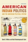 Image for American Indian Politics and the American Political System