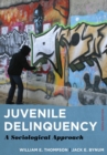 Image for Juvenile delinquency: a sociological approach