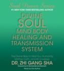 Image for Divine Soul Mind Body Healing and Transmission System
