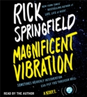 Image for Magnificent Vibration : A Novel
