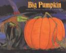 Image for Big Pumpkin
