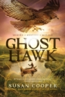 Image for Ghost Hawk