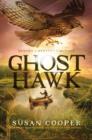 Image for Ghost hawk
