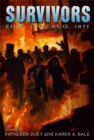 Image for Fire : Chicago, 1871