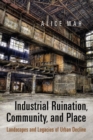 Image for Industrial ruination, community, and place  : landscapes and legacies of urban decline