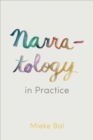 Image for Narratology in Practice