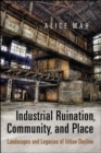 Image for Industrial Ruination, Community and Place: Landscapes and Legacies of Urban Decline