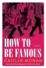 Image for How To Be Famous : A Novel