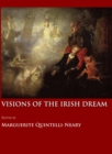 Image for Visions of the Irish Dream