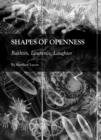 Image for Shapes of openness: Bakhtin, Lawrence, laughter