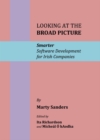 Image for Looking at the broad picture: smarter software development for Irish companies