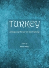 Image for Turkey  : a regional power in the making