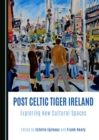 Image for Post-Celtic Tiger Ireland: exploring new cultural spaces