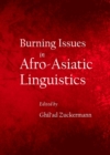 Image for Burning issues in Afro-Asiatic linguistics