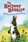 Image for Railway Rabbits: Barley and the Duck Race