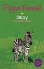 Image for Tilly&#39;s Pony Tails: Stripy the Zebra Foal