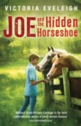 Image for Joe and the hidden horseshoe