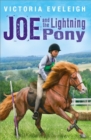 Image for Joe and the lightning pony