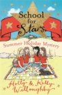 Image for Summer holiday mystery