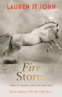 Image for Fire storm