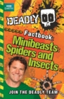 Image for Steve Backshall&#39;s Deadly series: Deadly Factbook: Minibeasts, Spiders and Insects