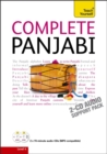 Image for Complete Punjabi Beginner to Intermediate Course