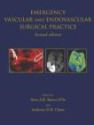 Image for Emergency vascular and endovascular surgical practice