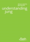 Image for Jung made simple