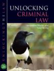 Image for Unlocking Criminal Law