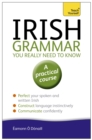 Image for Irish Grammar You Really Need to Know: Teach Yourself