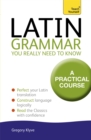 Image for Latin Grammar You Really Need to Know: Teach Yourself