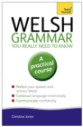 Image for Welsh Grammar You Really Need to Know: Teach Yourself