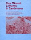 Image for Clay Mineral Cements in Sandstones - Special Publication 34 of the IAS