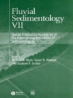 Image for Fluvial sedimentology VII