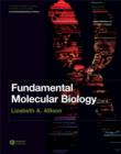 Image for Fundamental molecular biology