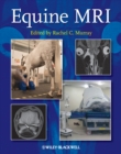 Image for Equine MRI