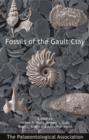 Image for Fossils of the Gault Clay