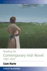 Image for Reading the Contemporary Irish Novel 1987 - 2007