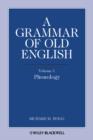 Image for A Grammar of Old English