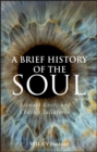 Image for A Brief History of the Soul