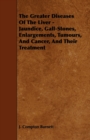 Image for The Greater Diseases Of The Liver - Jaundice, Gall-Stones, Enlargements, Tumours, And Cancer, And Their Treatment