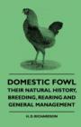 Image for Domestic Fowl - Their Natural History, Breeding, Rearing And General Management