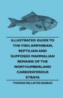 Image for Illustrated Guide To The Fish, Amphibian, Reptilian And Supposed Mammalian Remains Of The Northumberland Carboniferous Strata
