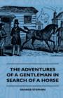Image for The Adventures Of A Gentleman In Search Of A Horse