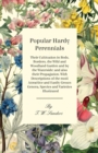 Image for Popular Hardy Perennials - Their Cultivation in Beds, Borders, the Wild and Woodland Garden and by the Waterside