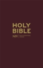 Image for NIV Deluxe Bible